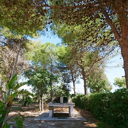 Oasis Apartment