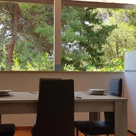 Oasis Apartment